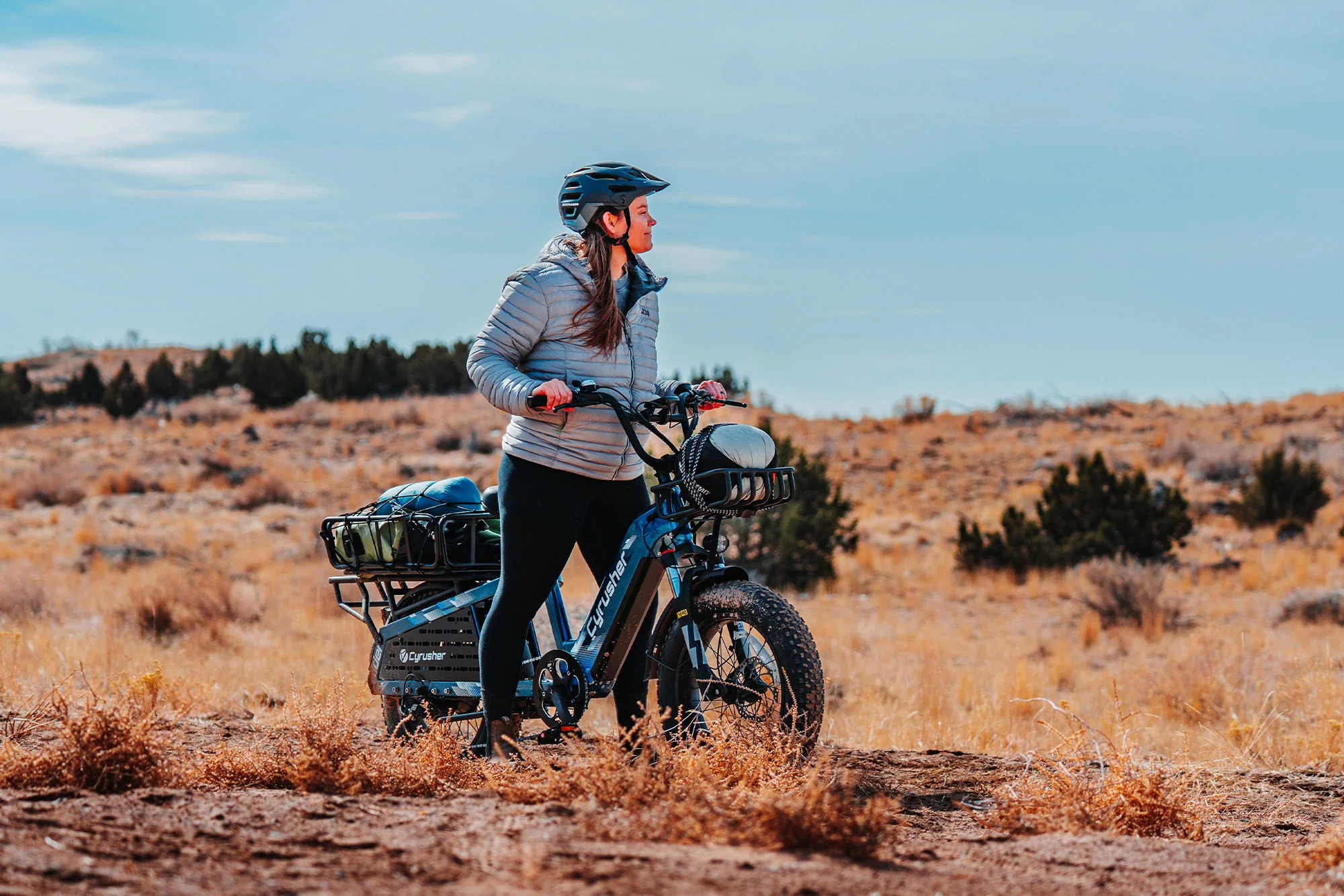 Cyrusher Glider Cargo E-Bike - Image 6